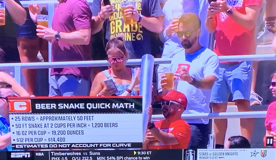 BEER SNAKE